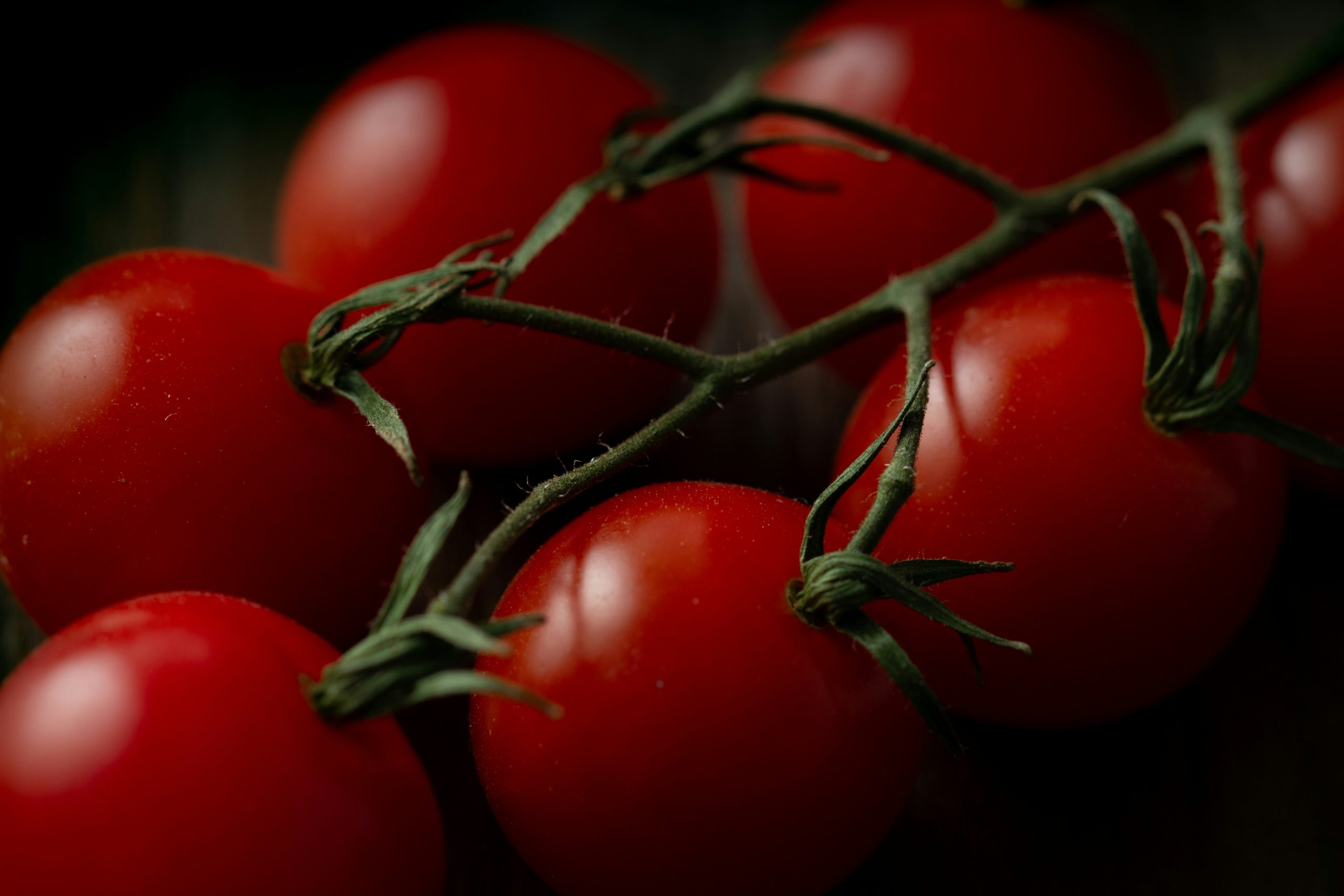 Petite histoire de la tomate cerise